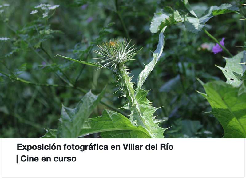 Cultivar la memoria