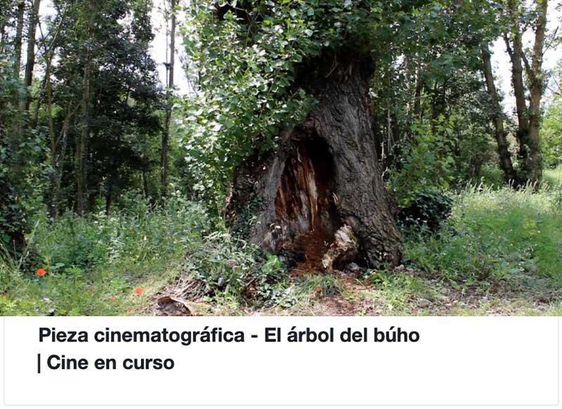 Cultivar la memoria