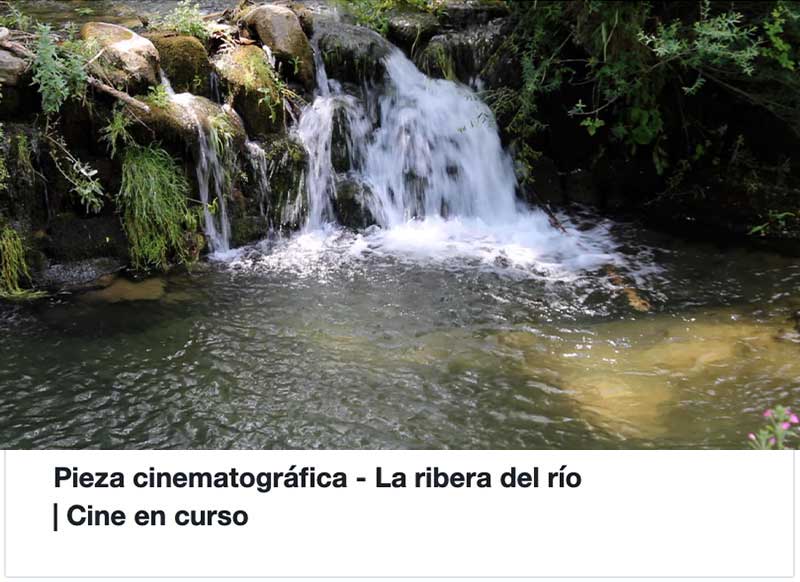 Cultivar la memoria