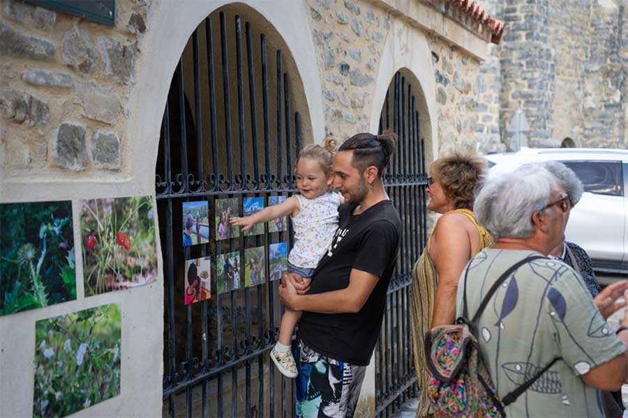 Exposición de trabajos